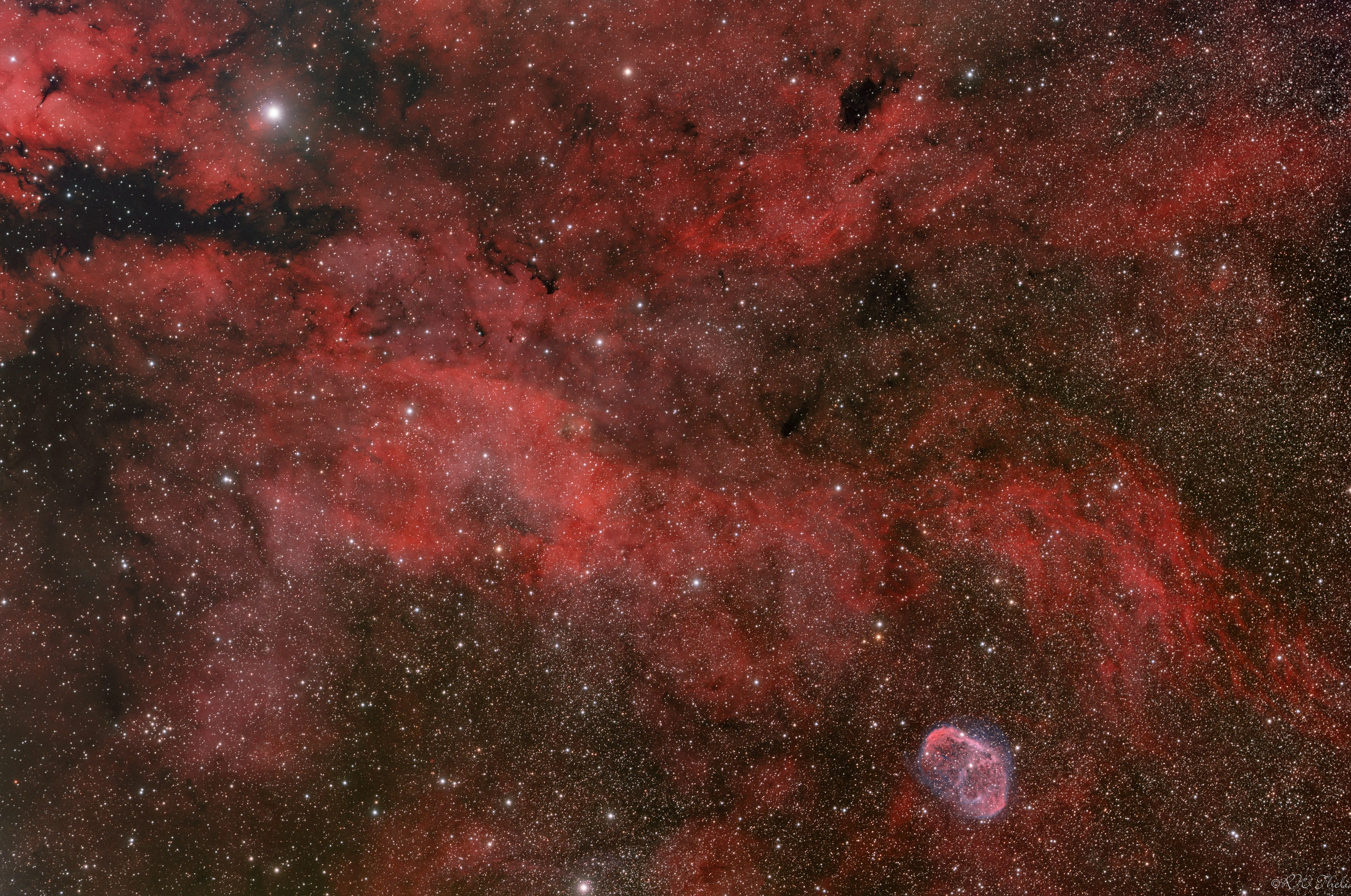 NGC6888 ripresa con QHY163M