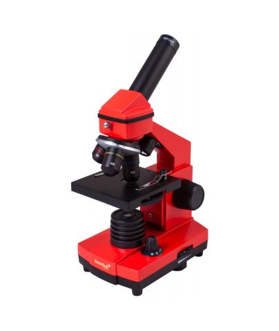 Microscopio Levenhuk Rainbow 2L PLUS, arancio