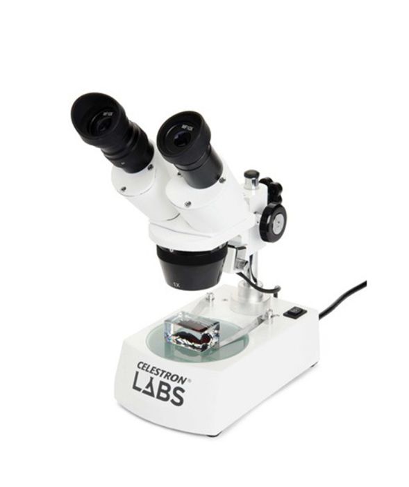 Microscopio stereoscopico Celestron LABS S10-60 con campioni di insetti