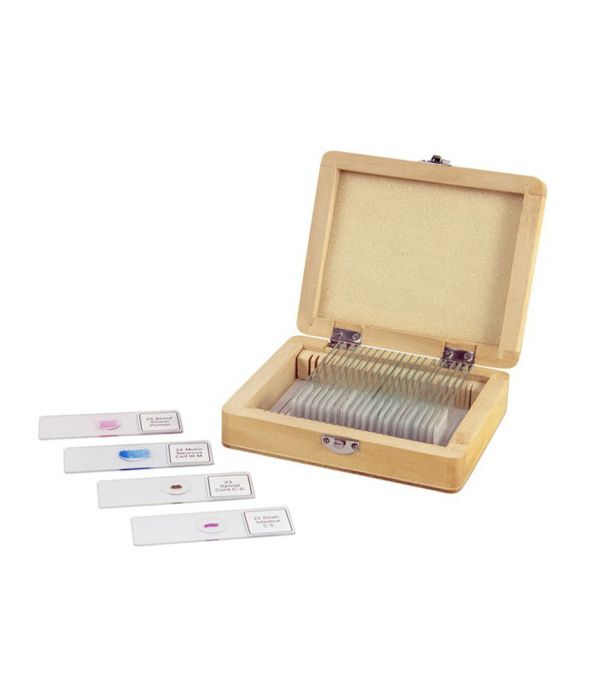 Celestron 25 piece prepared microscope slide kit