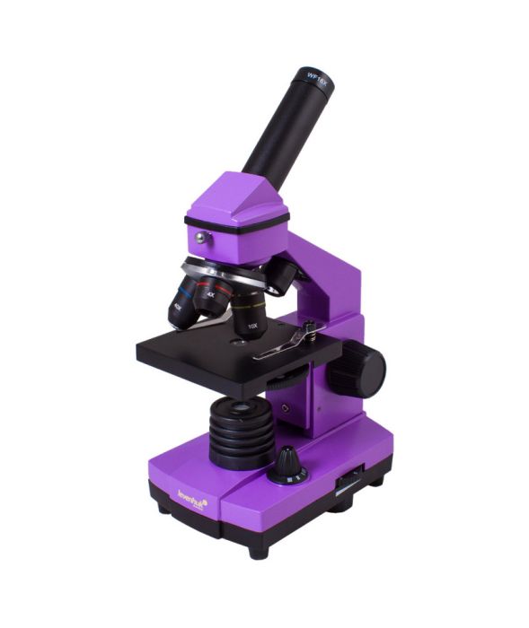 Levenhuk Rainbow 2L PLUS microscope, ametist