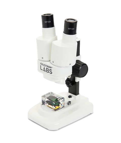 Microscopio stereoscopico Celestron LABS S20 con campioni di insetti