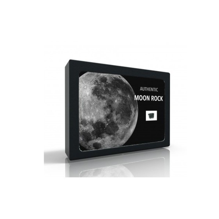 Frammento di meteorite lunare - Taglia extra grande