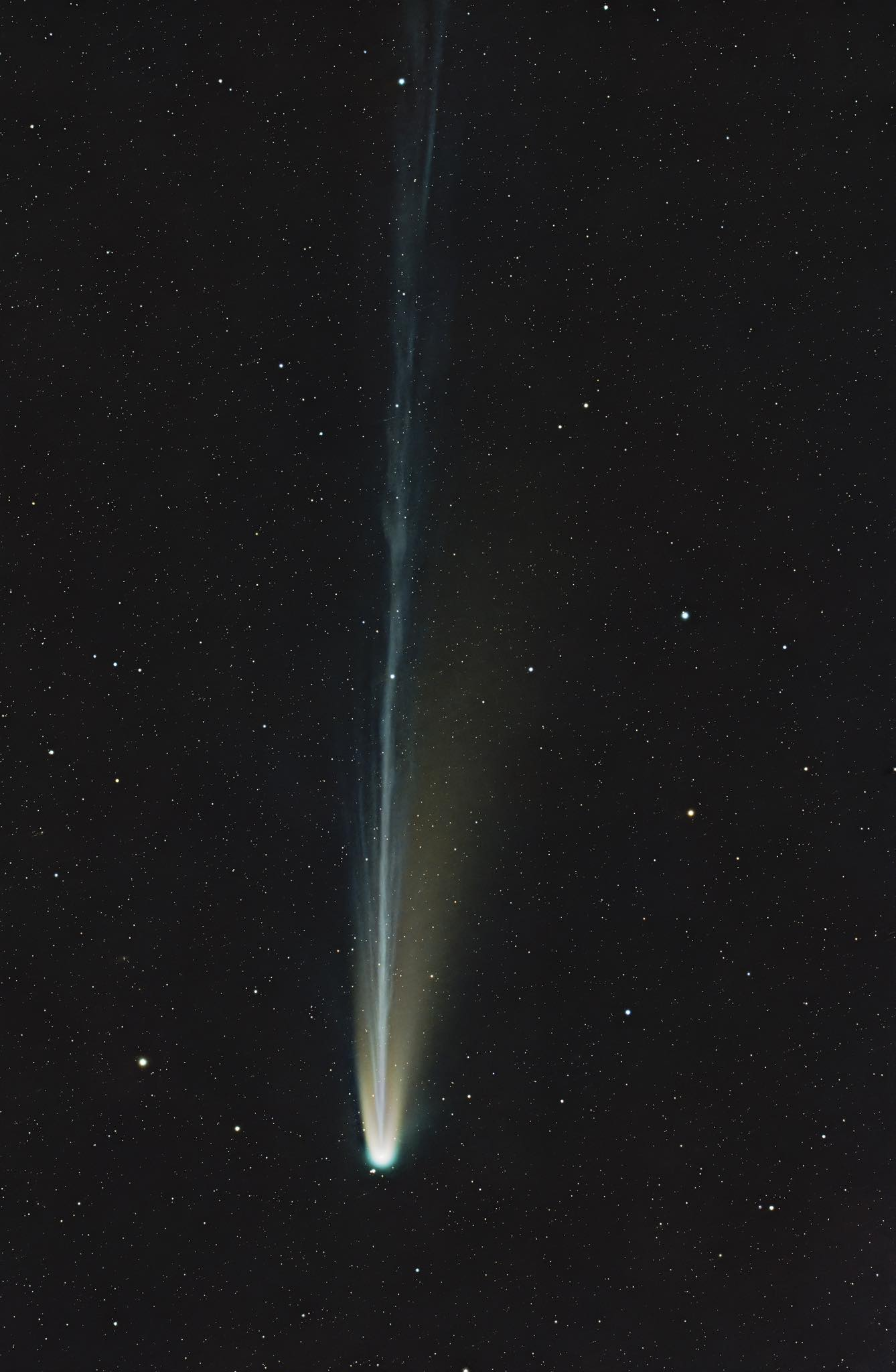 cometa Lemmon